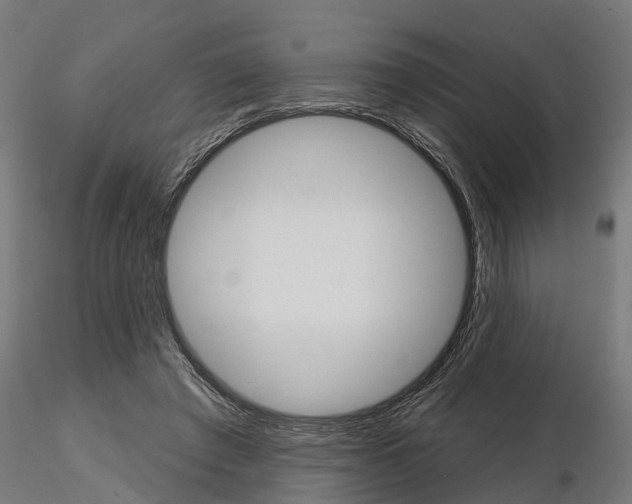 X0000115220401200912091226