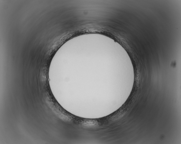 X0000115220402200912091225