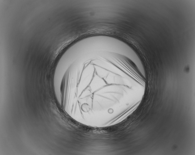 X0000115220403200912091225