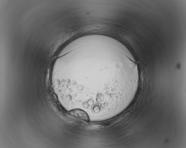 X0000115220404200912091225