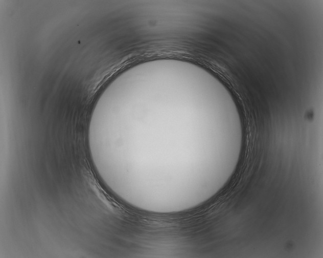 X0000115220405200912091225