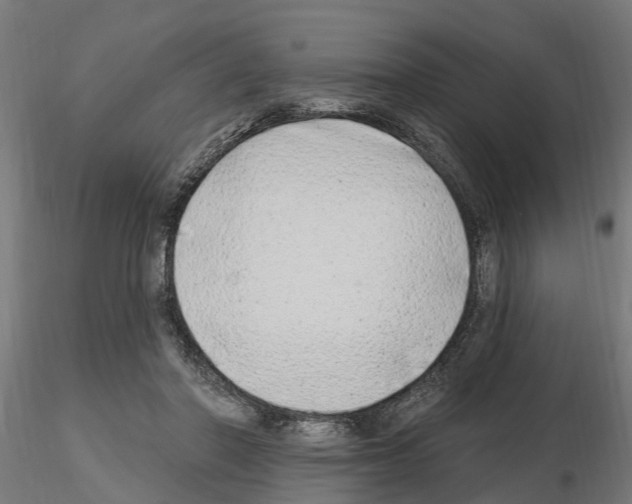 X0000115220406200912091225