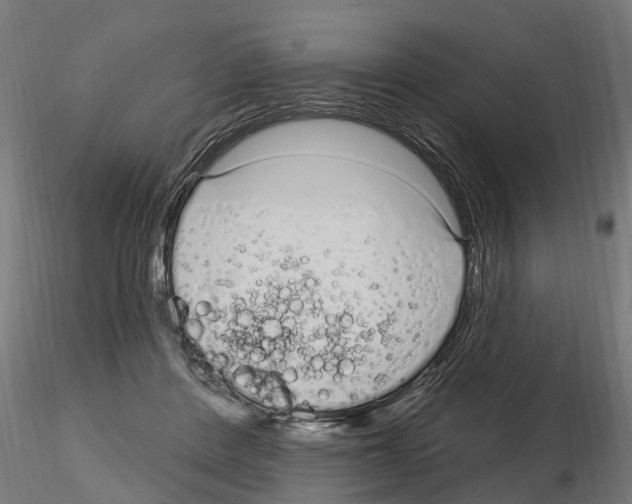 X0000115220408200912091225