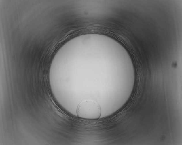 X0000115220409200912091225