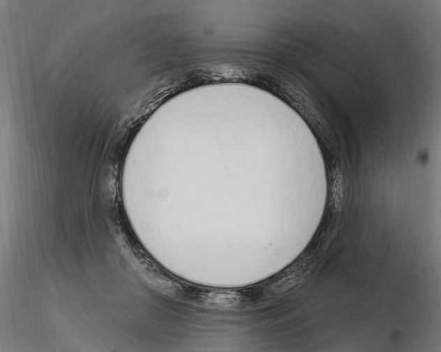 X0000115220410200912091225