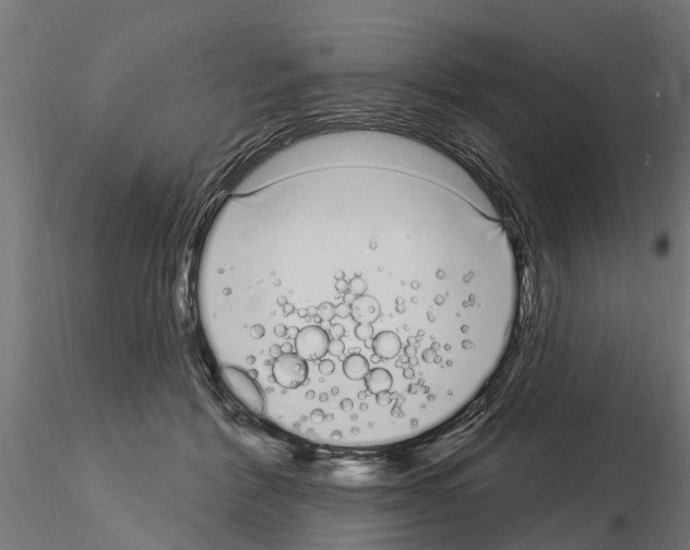 X0000115220412200912091225