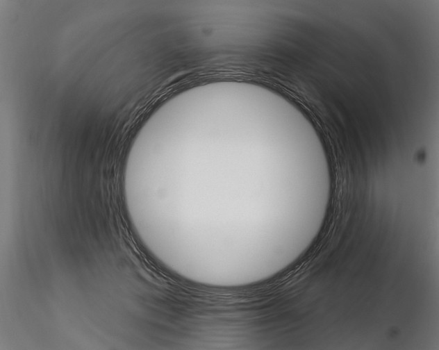 X0000115220413200912091225