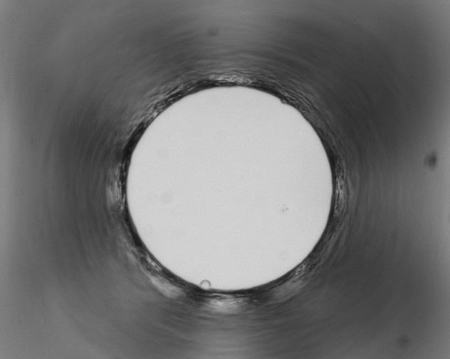 X0000115220416200912091225