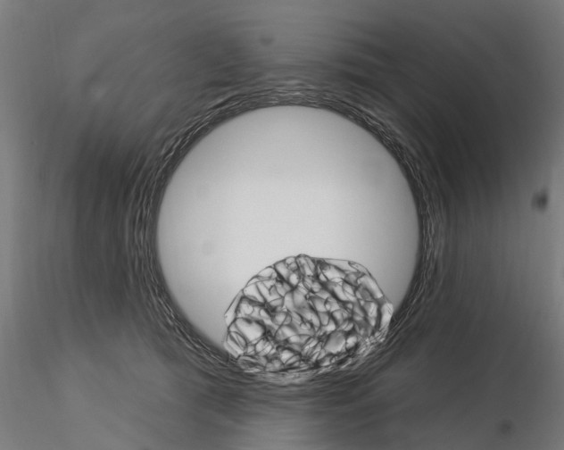 X0000115220417200912091225