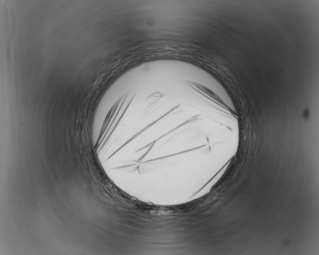 X0000115220419200912091225