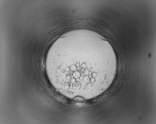 X0000115220420200912091225