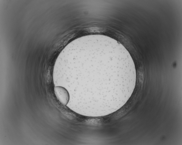 X0000115220422200912091225