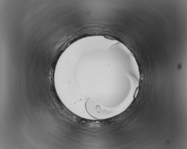 X0000115220423200912091225