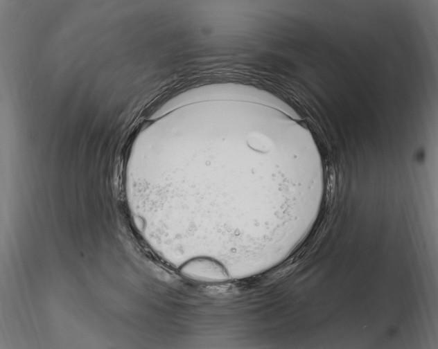 X0000115220424200912091225