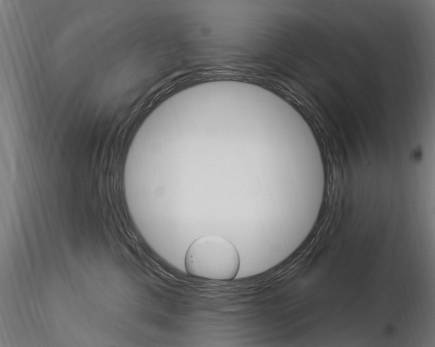 X0000115220425200912091225