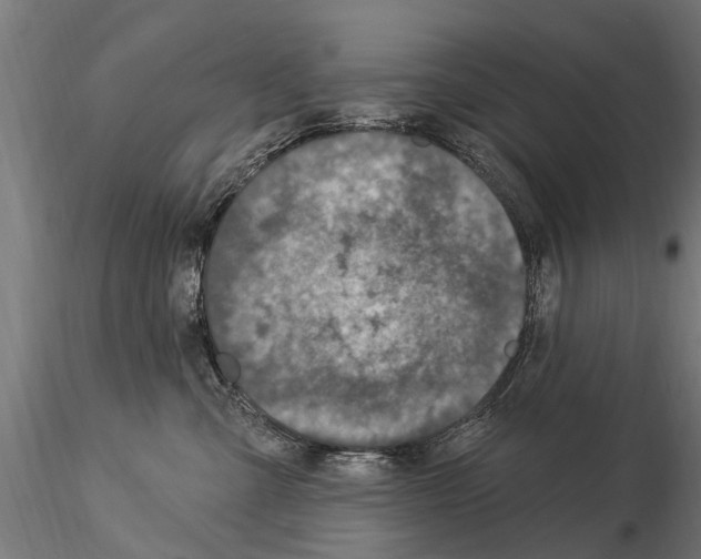 X0000115220427200912091225