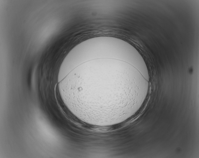 X0000115220429200912091225