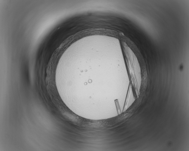 X0000115220430200912091225