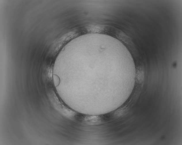 X0000115220431200912091225