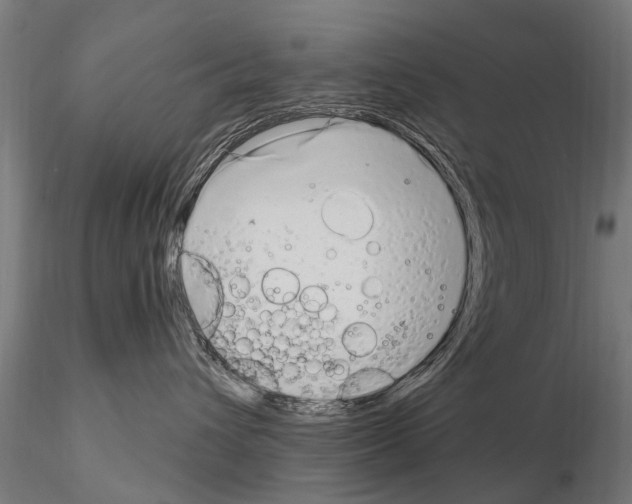 X0000115220432200912091225