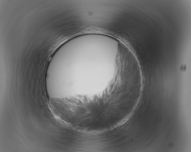 X0000115220433200912091224