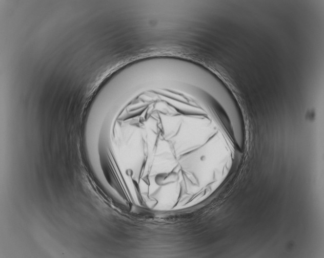 X0000115220434200912091224