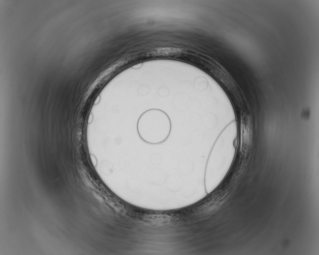 X0000115220435200912091224