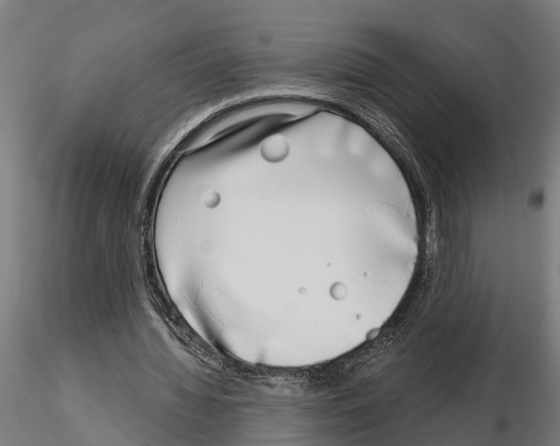 X0000115220436200912091224