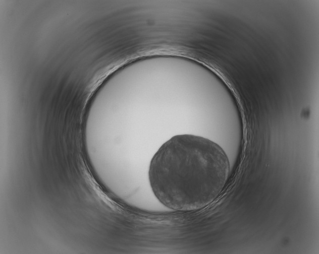 X0000115220437200912091224