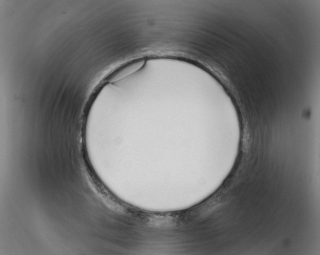 X0000115220438200912091224