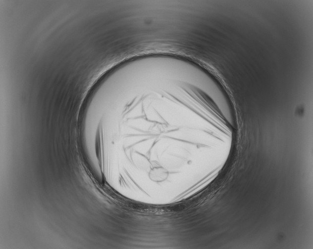 X0000115220439200912091224