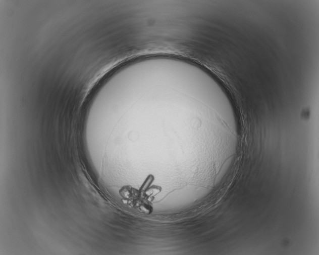 X0000115220440200912091224