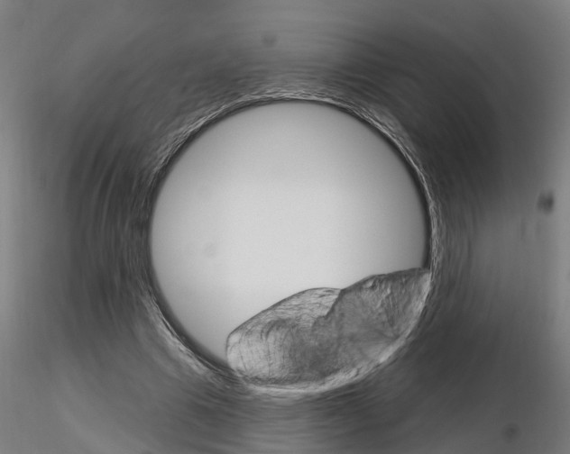 X0000115220441200912091224