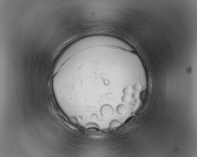 X0000115220442200912091224