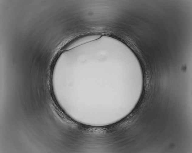 X0000115220443200912091224