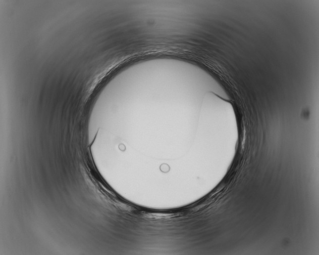 X0000115220444200912091224