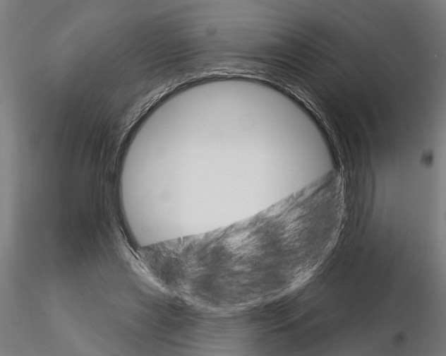 X0000115220445200912091224