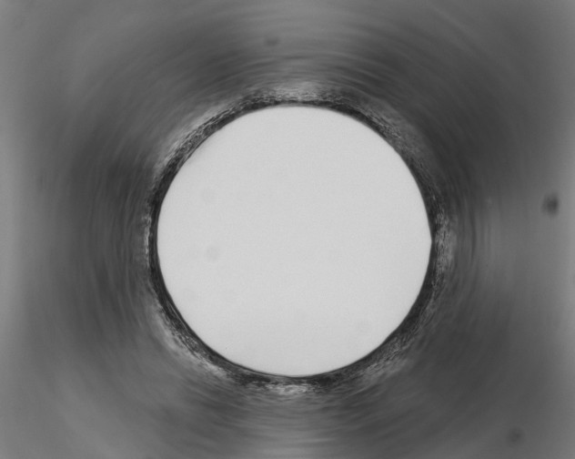 X0000115220446200912091224