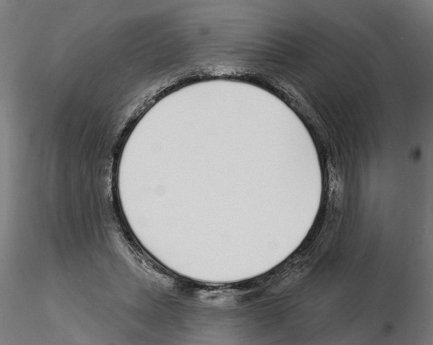 X0000115220447200912091224