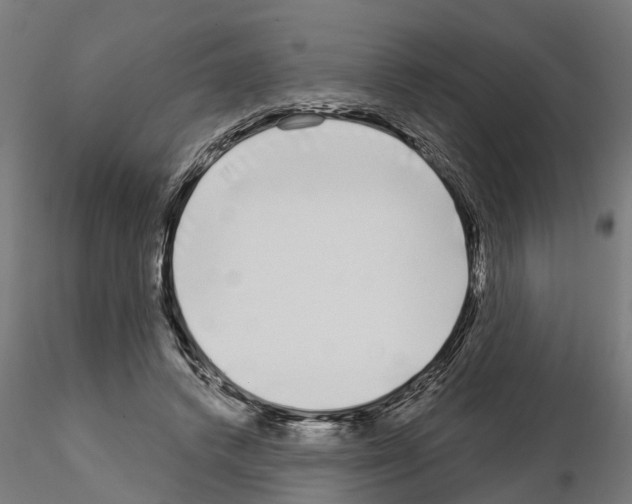 X0000115220448200912091224