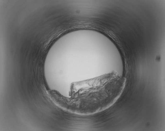 X0000115220449200912091224