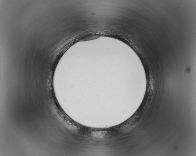 X0000115220450200912091224