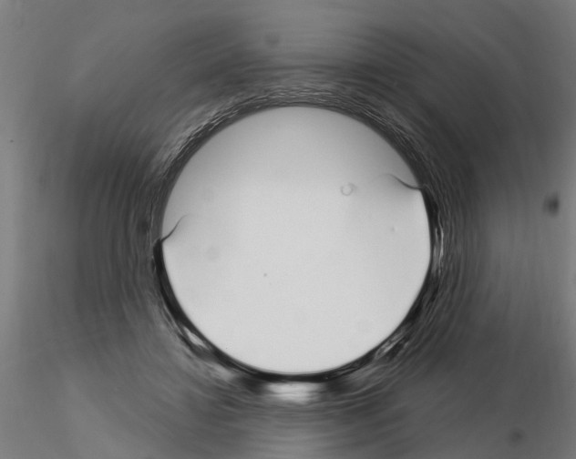 X0000115220452200912091225