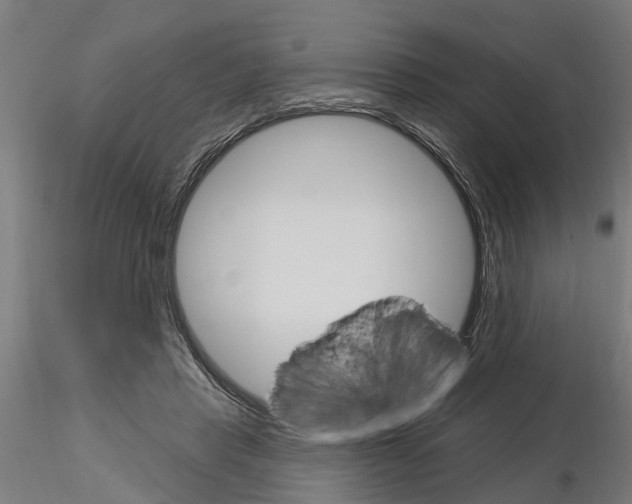 X0000115220453200912091225