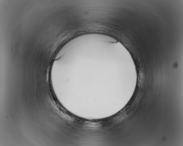 X0000115220454200912091225