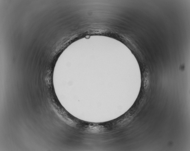 X0000115220455200912091225