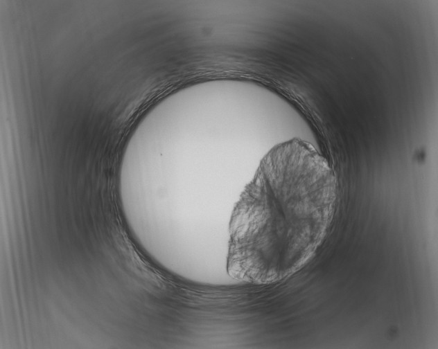 X0000115220457200912091225