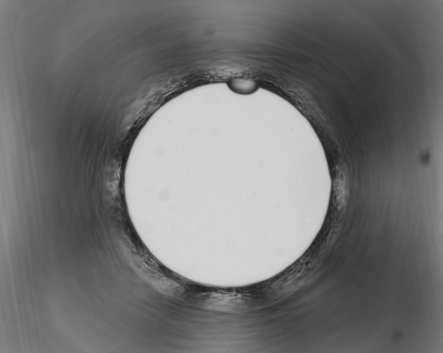 X0000115220458200912091225