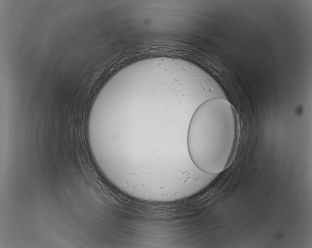 X0000115220461200912091225