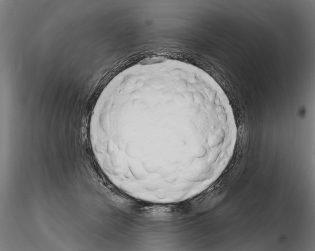 X0000115220462200912091225